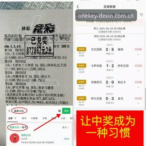 一键直达更省心的服务窗口苹果版 从欧洲联赛到东山再起:雷吉亚纳中锋交易的深度评测